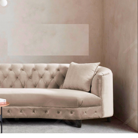 Kidney Shaped Sofa Set Model DS-2401