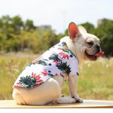 Hawaiian Pet Shirt