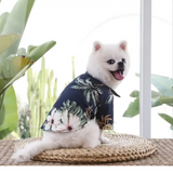 Hawaiian Pet Shirt